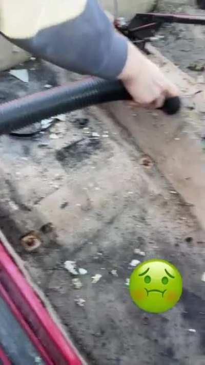 If their car is this filthy, imagine the house