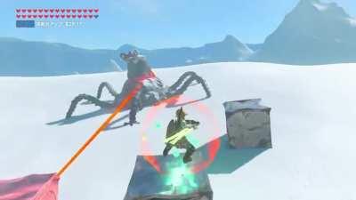 Did you know you can have dogfight in botw