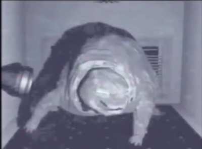 It mah 1 year on this damned app