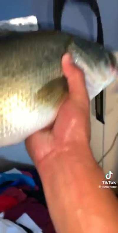 Yer gunna need a bigger tank