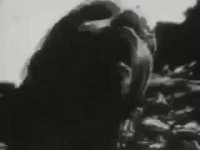 “For I think that God has displayed us, the apostles, last, as men condemned to death; for we have been made a spectacle to the world, both to angels and to men.” Corinthians 4:9