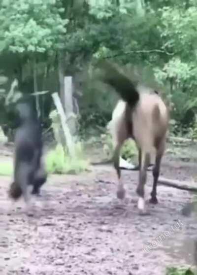 Well, no harm trying...