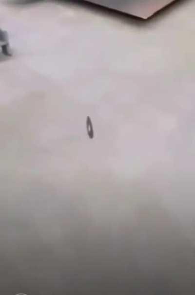 My disk people REALLY need me