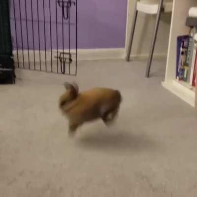 That little hop-turn in the middle is called a 