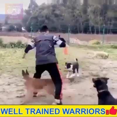 Well Trained Warriors