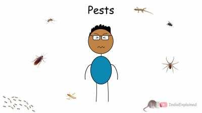 Animals of India Explained