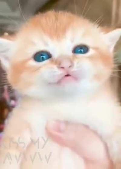 Guess this belongs here