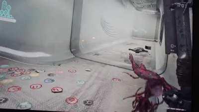 Got myself a pet in Atomic Heart