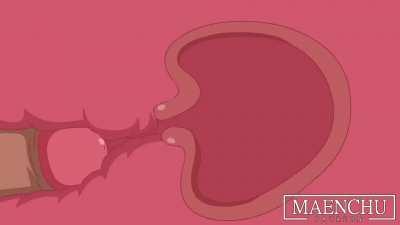 Knocking Nagatoro up. (maenchu)