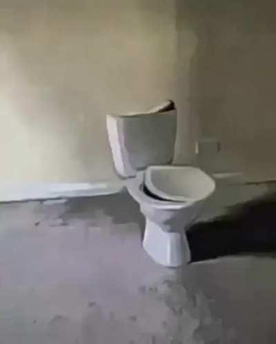 Just a video of a toilet.