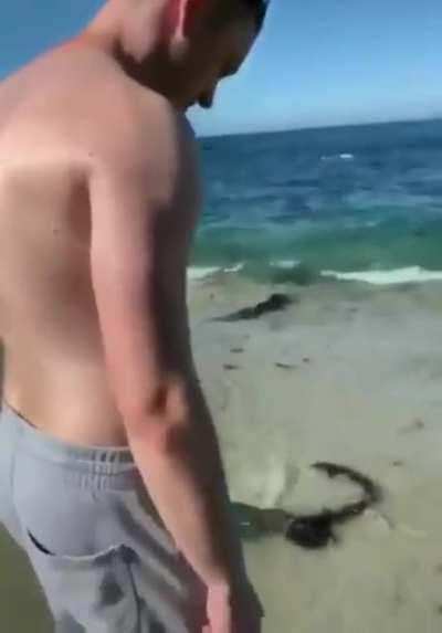 A quiet day at the beach