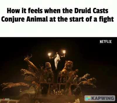 How it feels when The Druid casts Conjure Animals