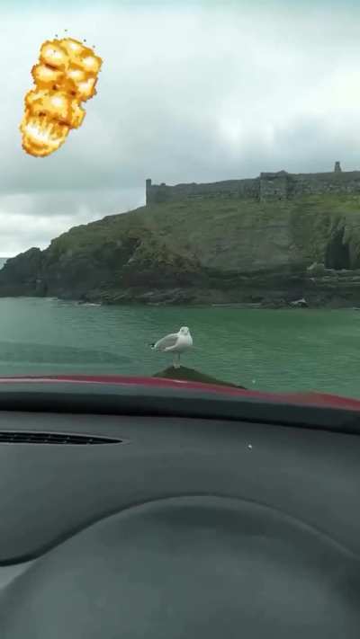 What is John Lennon doing 😭🙏