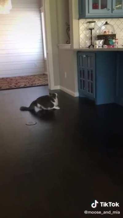 Never give up on your dreams