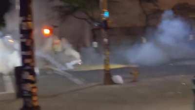 Skirmish between Portland protesters and feds