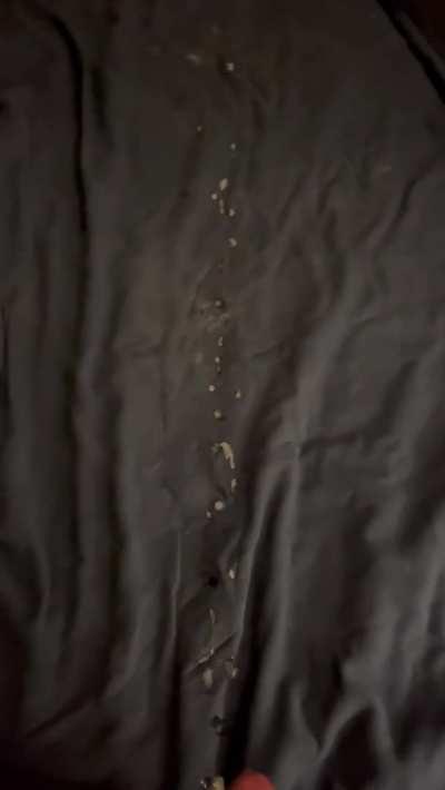 My first upload. Think it’s a big load.