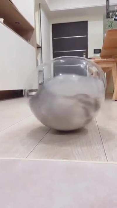 You spin me right 'round, baby, right 'round