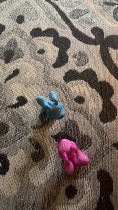 Blue’s Christmas gift to Magenta