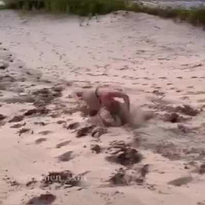 HMC while I imitate tumbleweed