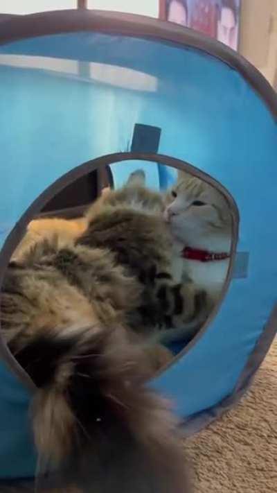 Don't watch this if you're single