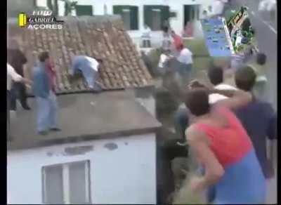 Playing parcour the bull