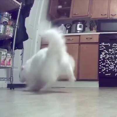 Still my favourite thursty video to date