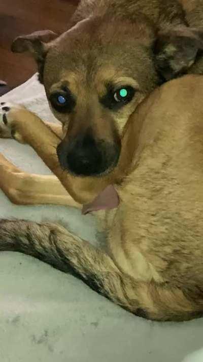 Weirdo tries to play it cool