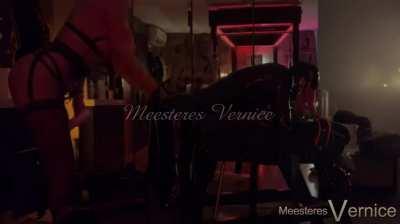 Rubbergimp tied to the bench, I have a bottle of lube. I open the zipper of his latex suit, and tease his asshole. What will happen next?