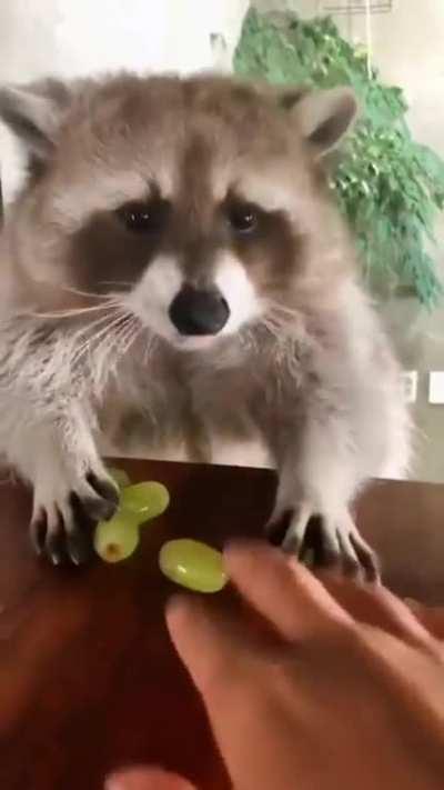 No compromise in Food!! LOL