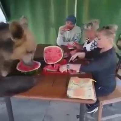 When your neighbor is a glutton