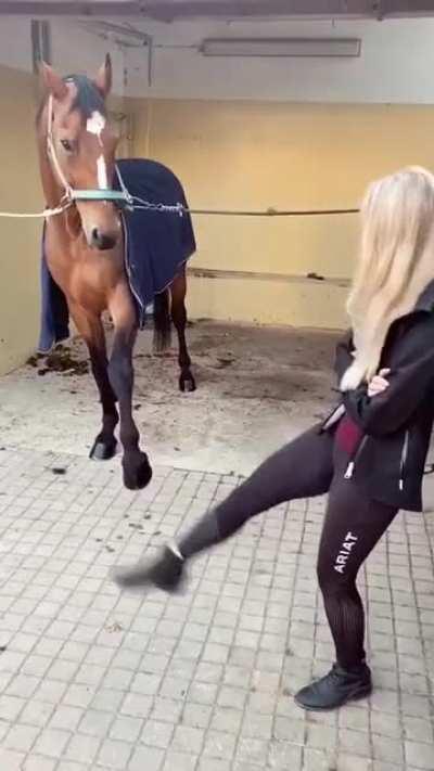 Забавная лошадка