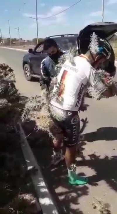 Cyclist falls on some cacti