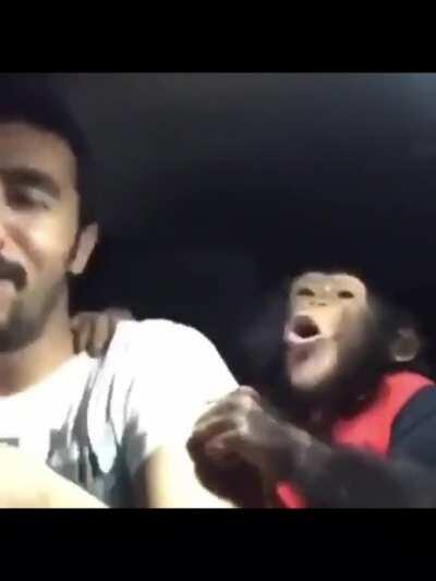 Upvote para que Orslok pierda 25 euros.