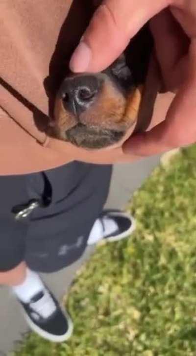 What are big pockets for