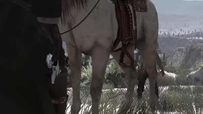 The Good, the Bad, and the Horse