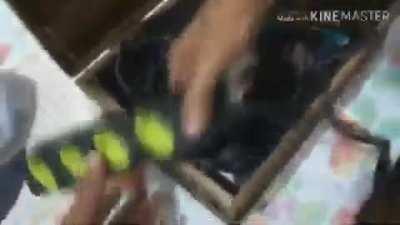 Alicate alek alicate