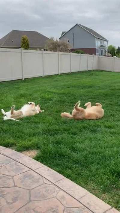 When your friend is as goofy as you are