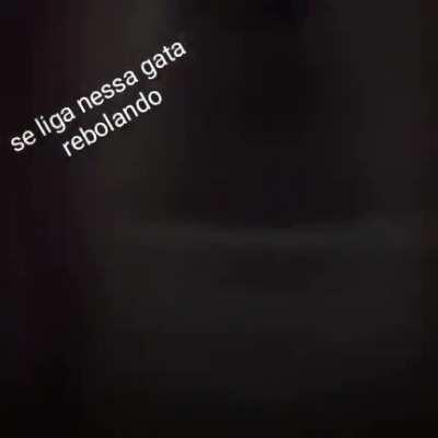 Olha essa gata dançando