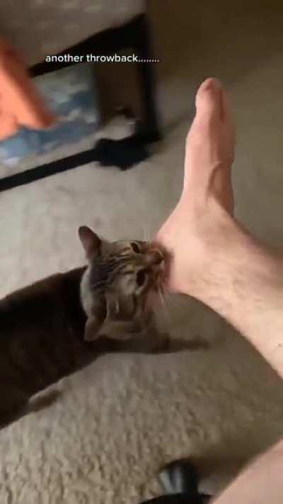 Achilles dragging Hector’s corpse around Troy