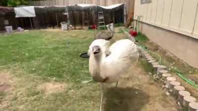 Kevin moment (Kinda loud at the end)