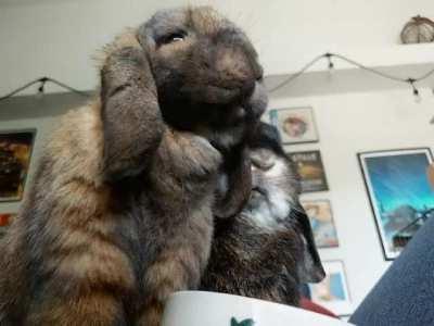 they’re eating her! and then they’re going to eat me! ooh my gaaaaaaaaaahhhhhhdd