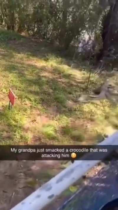 Only in Florida. Grandpa smacks the hell out of an alligator twice with a frying pan