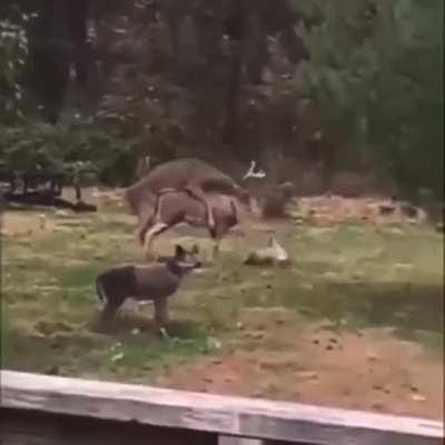 Oh. Umm... Guess I'll go.