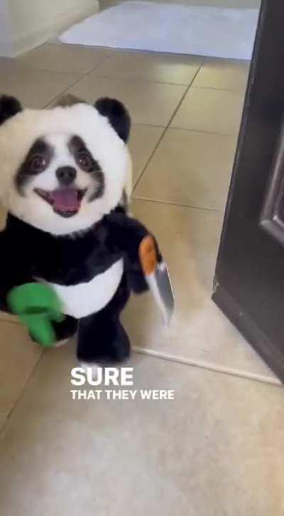 Protect your home with a scary dog