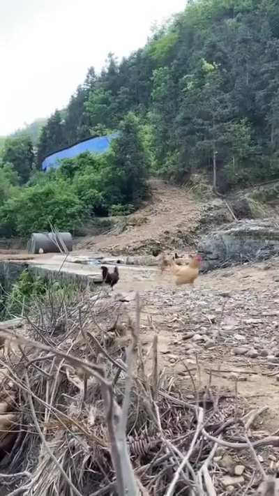 Wunkus battalion goes to war