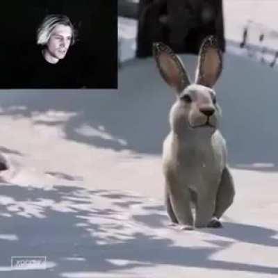 Небольшие различия)