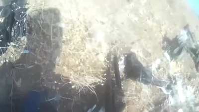 Syrian Rebel Squad wiped out after disembarking to attack SAA positions - 2016, Syrian Civil War