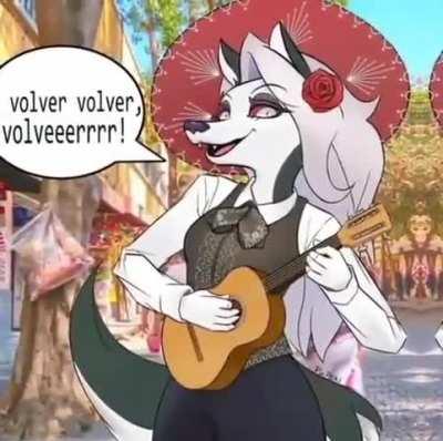 Losercity trip to mexico