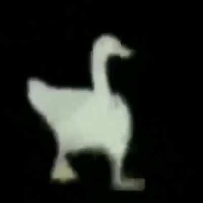 velocipastor 2: the last of the oranges