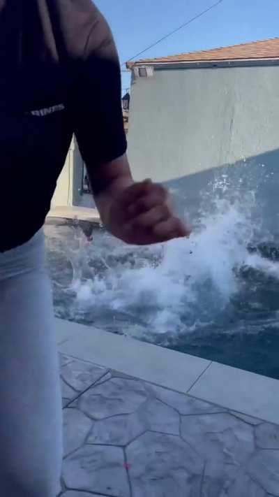 To throw her into the pool